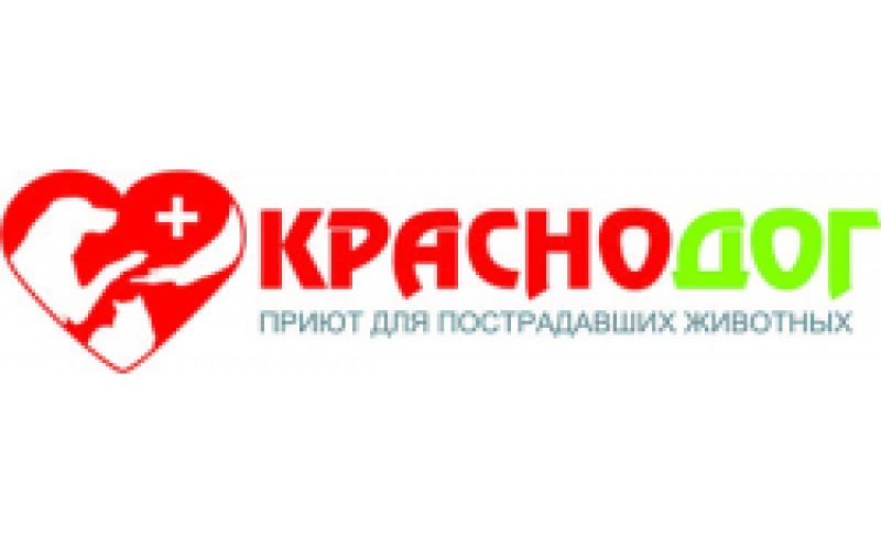 Благотворительная помощь приюту "Краснодог"