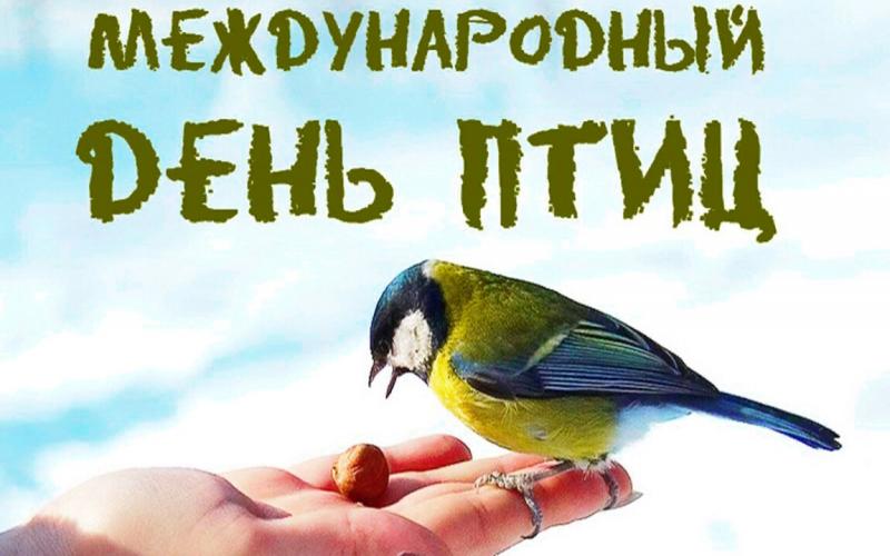 1 апреля-Международный день птиц!